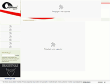 Tablet Screenshot of gorgol.pl